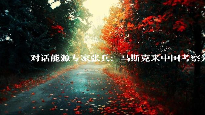 对话能源专家张兵：马斯克来中国考察光伏“走对地儿了”，中国光伏就是世界第一_发电_电池_效率